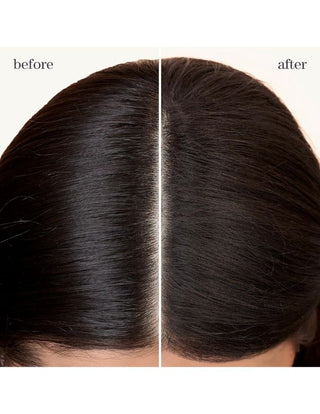 Pureology-Pureology Style and Protect Refresh & Go Dry Shampoo - 150g-