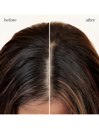 Pureology-Pureology Style and Protect Refresh & Go Dry Shampoo - 150g-