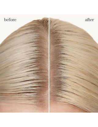 Pureology-Pureology Style and Protect Refresh & Go Dry Shampoo - 150g-