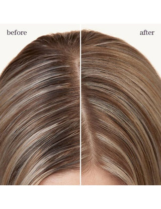 Pureology-Pureology Style and Protect Refresh & Go Dry Shampoo - 150g-